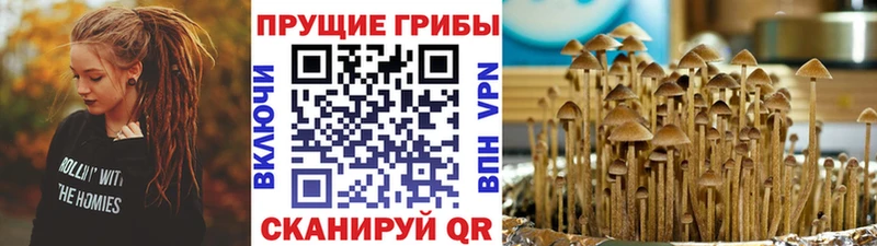цена наркотик Петухово Галлюциногенные грибы Cubensis